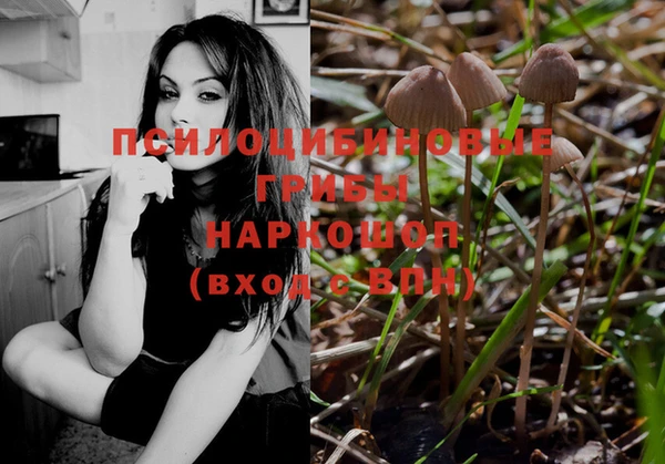 спайс Зерноград